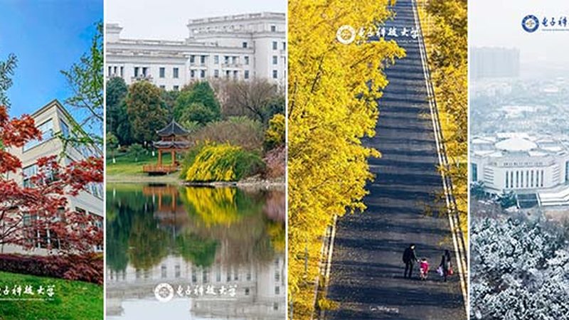 电子元件选型：如何从繁杂参数中精准锁定所需组件**