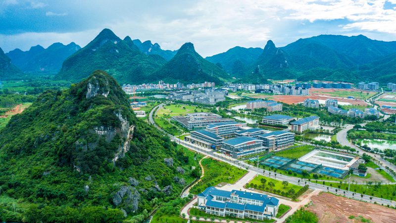 触摸屏革命：揭秘电容式触摸屏的十大品牌风云**